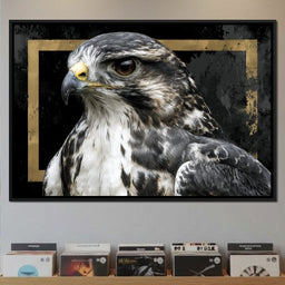 Golden Frame Falcon Portrait - NicheCanvas