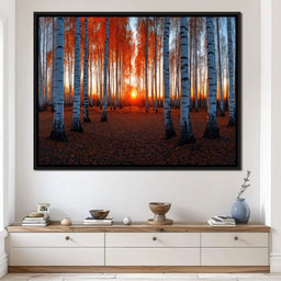 Sunrise Through the Birch Grove - TooplesArt - NicheCanvas