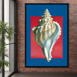 Seashell Spiral Elegance - NicheCanvas