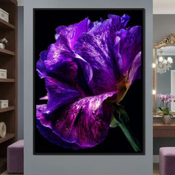 Violet Petal Radiance Macro - NicheCanvas