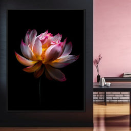 Luminous Lotus Radiant Petals - NicheCanvas