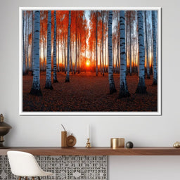 Sunrise Through the Birch Grove - TooplesArt - NicheCanvas