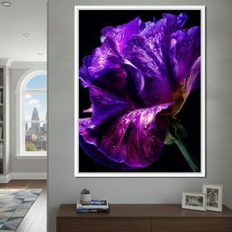 Violet Petal Radiance Macro - NicheCanvas