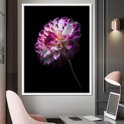 Radiant Orchid Dahlia Nocturne - NicheCanvas