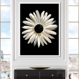 Solitary Pale Petals Against The Void - NicheCanvas
