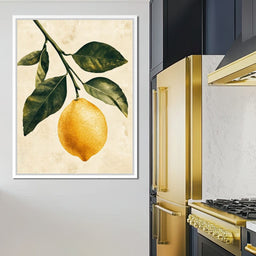 Fresh Citrus - NicheCanvas