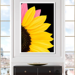 Yellow Sunlit Petals - NicheCanvas