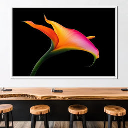 Vivid Orchid Glow - TooplesArt - NicheCanvas
