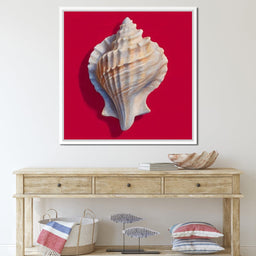 Seashell Reverie on Red - NicheCanvas