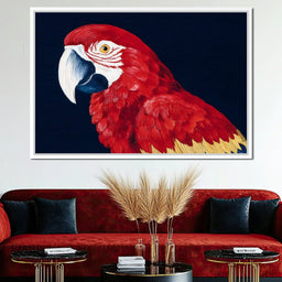 Scarlet Macaw Mirage - NicheCanvas