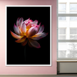 Luminous Lotus Radiant Petals - NicheCanvas