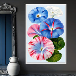 Morning Glory Reverie - TooplesArt - NicheCanvas