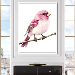 Rosefinch Perched On Spring - NicheCanvas