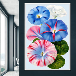 Morning Glory Reverie - TooplesArt - NicheCanvas