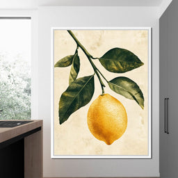 Fresh Citrus - NicheCanvas