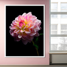 Radiant Dahlia Petals Macro Glow - NicheCanvas