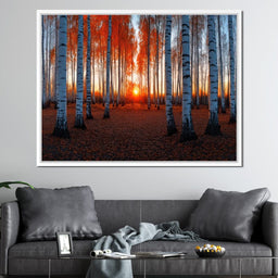 Sunrise Through the Birch Grove - TooplesArt - NicheCanvas