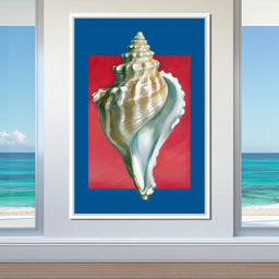 Seashell Spiral Elegance - NicheCanvas