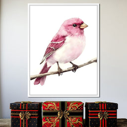 Rosefinch Perched On Spring - NicheCanvas