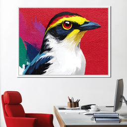 Multicolored Feathered Wonder - NicheCanvas