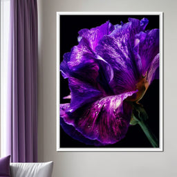 Violet Petal Radiance Macro - NicheCanvas