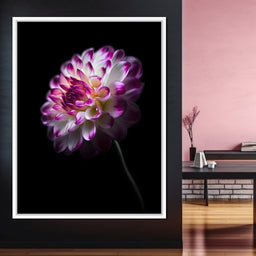 Radiant Orchid Dahlia Nocturne - NicheCanvas