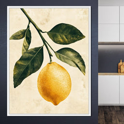 Fresh Citrus - NicheCanvas