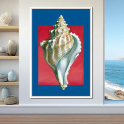 Seashell Spiral Elegance - NicheCanvas