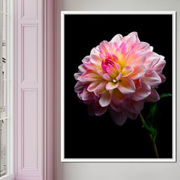 Radiant Dahlia Petals Macro Glow - NicheCanvas