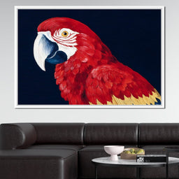 Scarlet Macaw Mirage - NicheCanvas