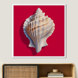 Seashell Reverie on Red - NicheCanvas