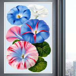 Morning Glory Reverie - TooplesArt - NicheCanvas