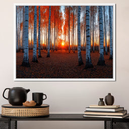 Sunrise Through the Birch Grove - TooplesArt - NicheCanvas