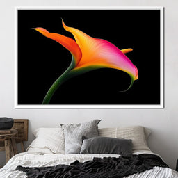 Vivid Orchid Glow - TooplesArt - NicheCanvas