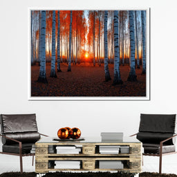 Sunrise Through the Birch Grove - TooplesArt - NicheCanvas