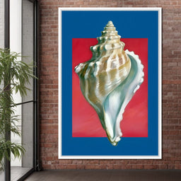 Seashell Spiral Elegance - NicheCanvas