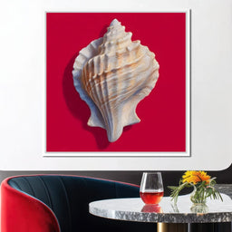 Seashell Reverie on Red - NicheCanvas