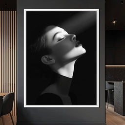 Elegance In Shadow - David Drake - NicheCanvas