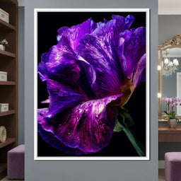 Violet Petal Radiance Macro - NicheCanvas