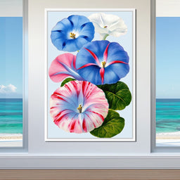 Morning Glory Reverie - TooplesArt - NicheCanvas