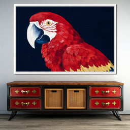 Scarlet Macaw Mirage - NicheCanvas