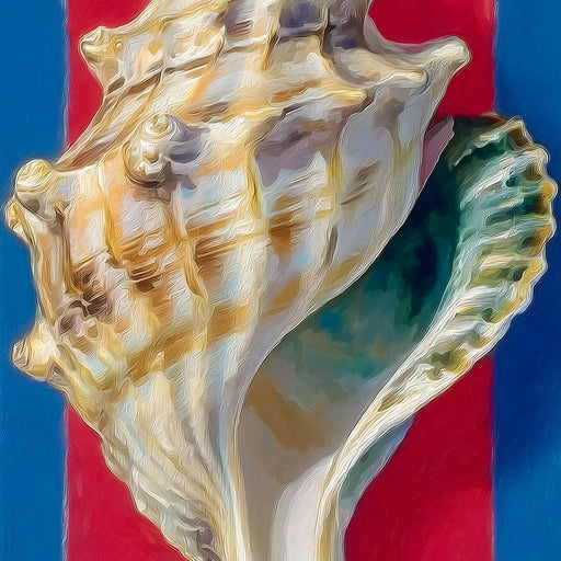 Shell Harmony by the Sea Canvas Print