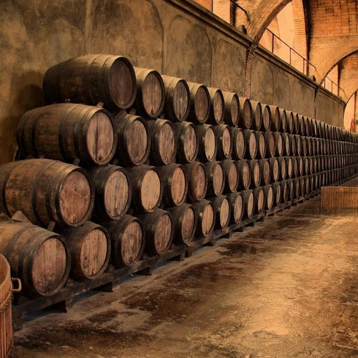 Limited Edition - Wine Wall Art 5 Canvas Print