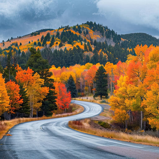 Autumn Serenade Journey Canvas Print