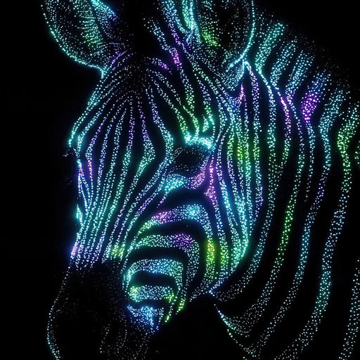 Cosmic Zebra - TooplesArt Canvas Print