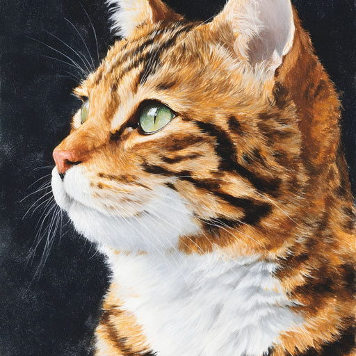 Golden Tabby Cat Portrait Canvas Print
