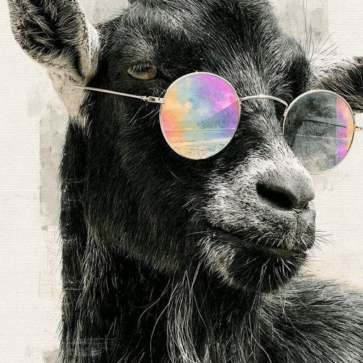 Stray Goat With A Painted Perspective Canvas Print
