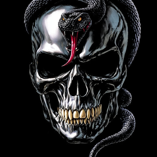 Serpent Crowned Skull Night Canvas Print