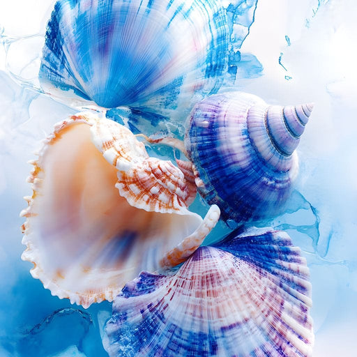 Oceanic Seashells Dreamscape Canvas Print