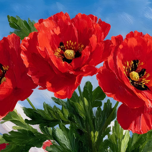 American Poppies in Bloom Canvas Print